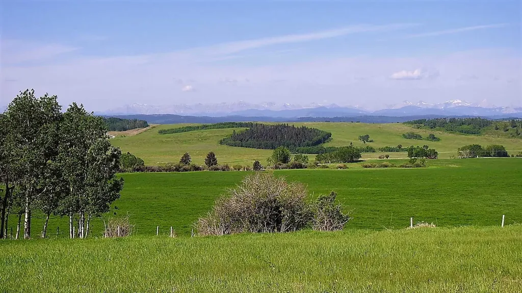 79.41 Acres Se-13-22-3w5 Rural Foothills County AB T1S 2T7