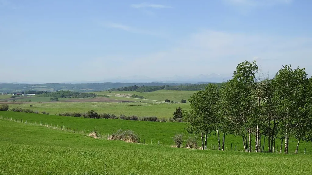 79.41 Acres Se-13-22-3w5 Rural Foothills County AB T1S 2T7