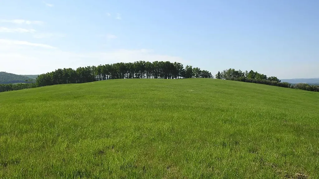 79.41 Acres Se-13-22-3w5 Rural Foothills County AB T1S 2T7