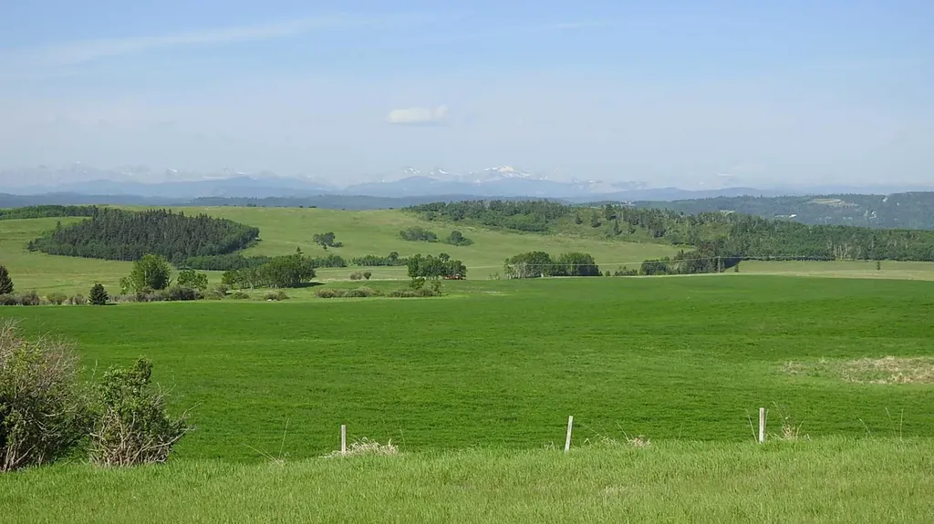 79.41 Acres Se-13-22-3w5 Rural Foothills County AB T1S 2T7