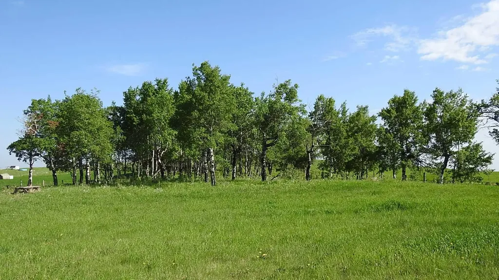 79.41 Acres Se-13-22-3w5 Rural Foothills County AB T1S 2T7