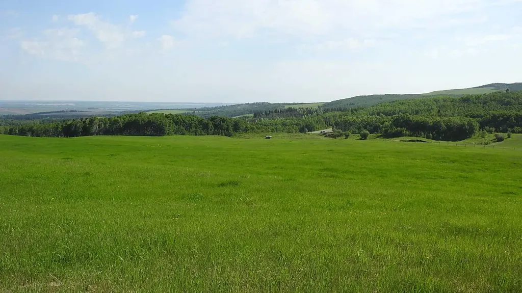 79.41 Acres Se-13-22-3w5 Rural Foothills County AB T1S 2T7