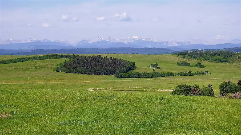 79.41 Acres Se-13-22-3w5 Rural Foothills County AB T1S 2T7