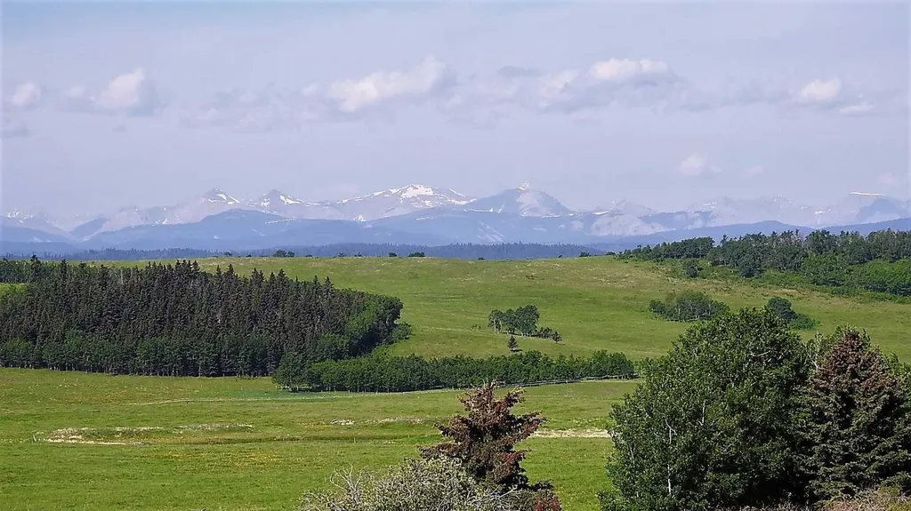 79.41 Acres Se-13-22-3w5 Rural Foothills County AB T1S 2T7