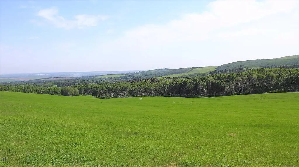 79.41 Acres Se-13-22-3w5 Rural Foothills County AB T1S 2T7