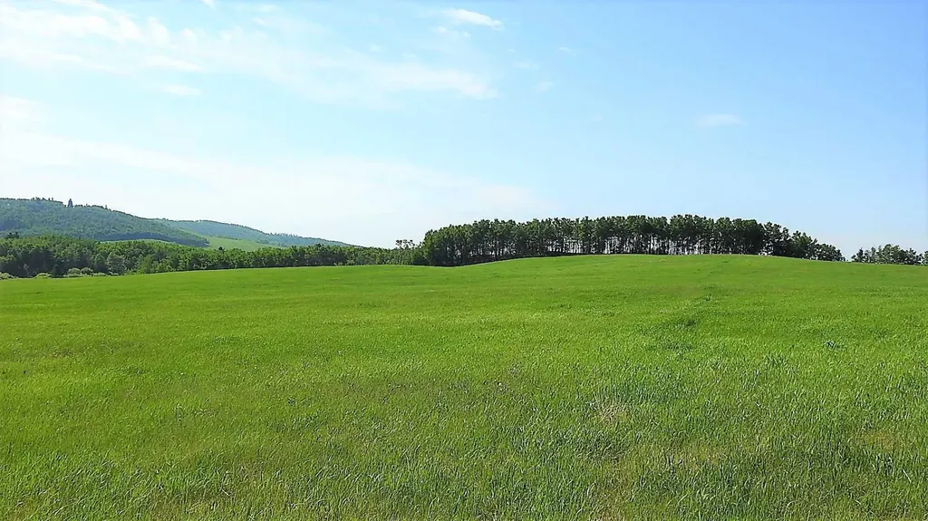 79.41 Acres Se-13-22-3w5 Rural Foothills County AB T1S 2T7