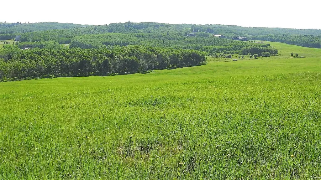 79.41 Acres Se-13-22-3w5 Rural Foothills County AB T1S 2T7