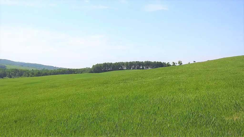 79.41 Acres Se-13-22-3w5 Rural Foothills County AB T1S 2T7