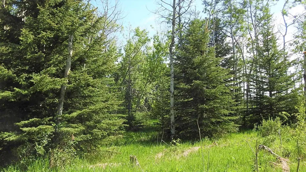 79.41 Acres Se-13-22-3w5 Rural Foothills County AB T1S 2T7