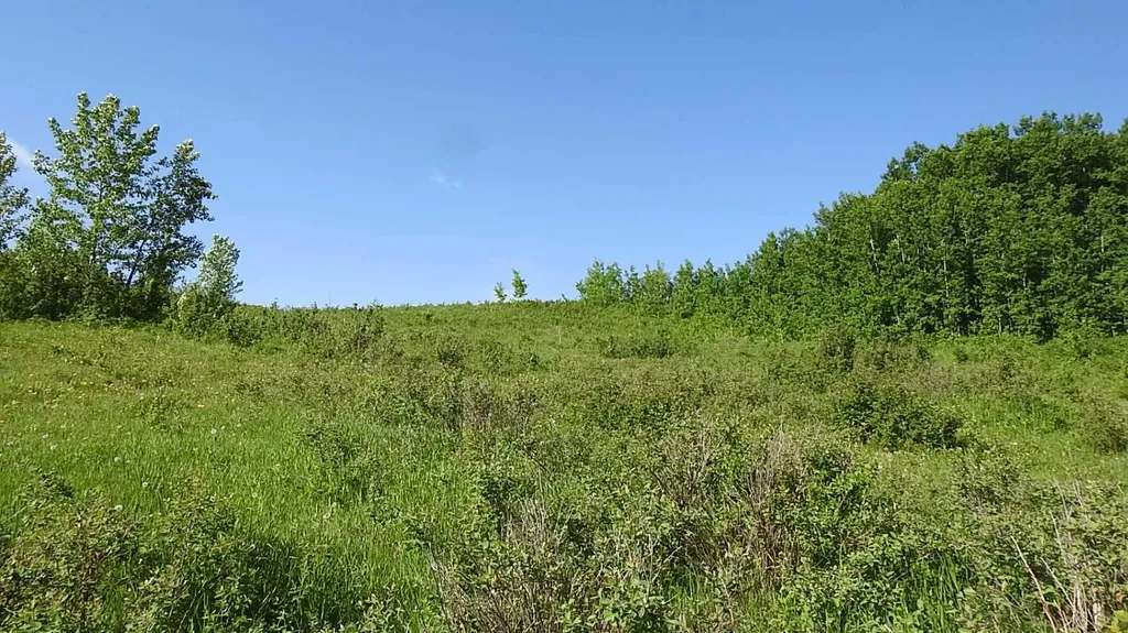79.41 Acres Se-13-22-3w5 Rural Foothills County AB T1S 2T7