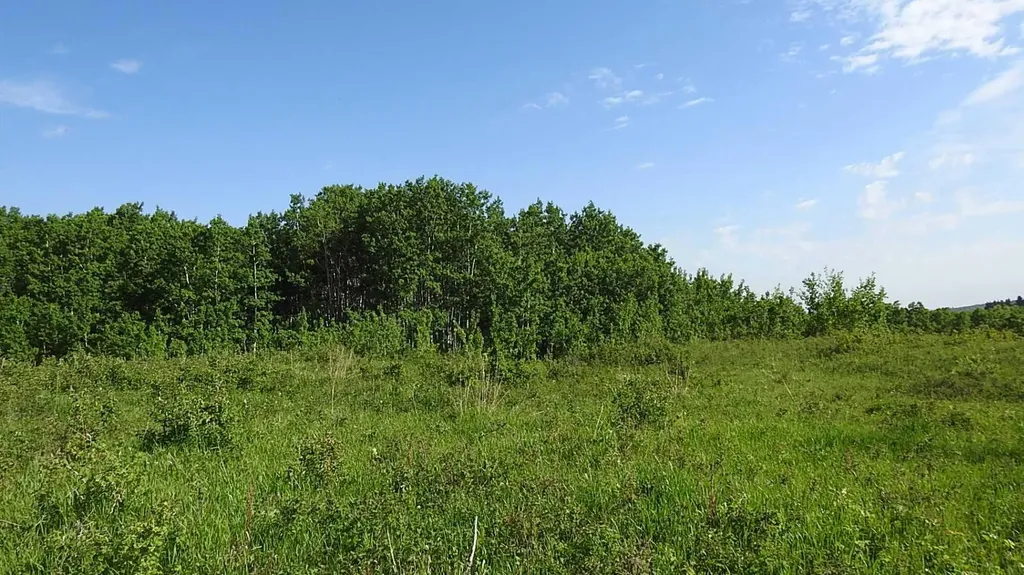79.41 Acres Se-13-22-3w5 Rural Foothills County AB T1S 2T7