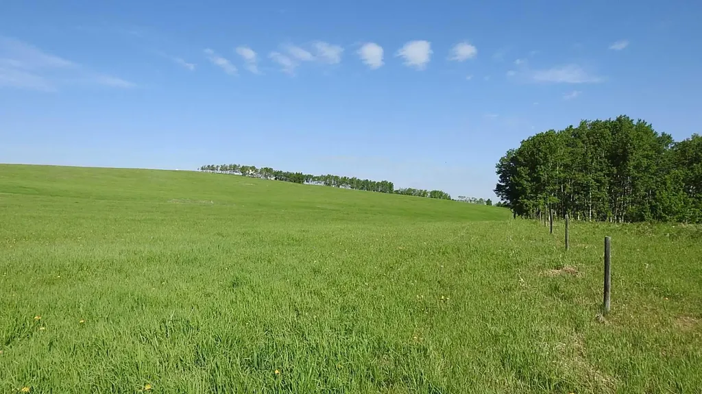 79.41 Acres Se-13-22-3w5 Rural Foothills County AB T1S 2T7