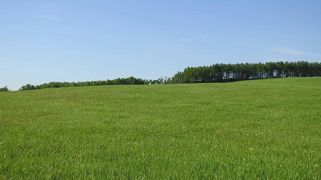 79.41 Acres Se-13-22-3w5 Rural Foothills County AB T1S 2T7