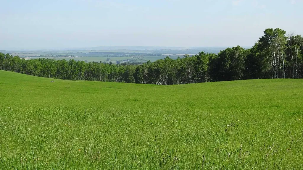 79.41 Acres Se-13-22-3w5 Rural Foothills County AB T1S 2T7