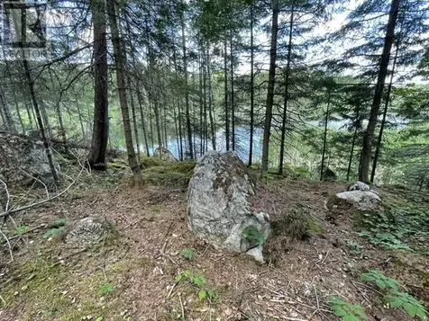 301 Sandy Beach Road Dryden ON P8N 0A2
