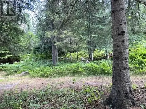 301 Sandy Beach Road Dryden ON P8N 0A2
