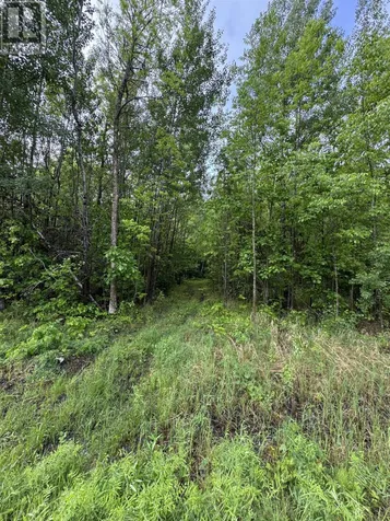 Pcl 11483 Budreau Road Rainy River ON P0W 1L0