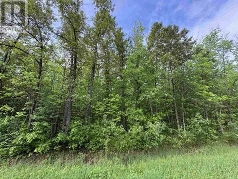 Pcl 11483 Budreau Road Rainy River ON P0W 1L0