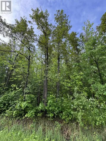 Pcl 11483 Budreau Road Rainy River ON P0W 1L0