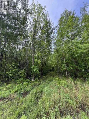 Pcl 11483 Budreau Road Rainy River ON P0W 1L0