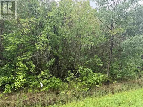 Pcl 11483 Budreau Road Rainy River ON P0W 1L0
