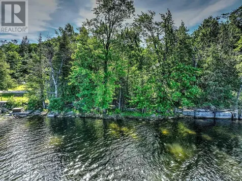 114 Lake Dalrymple Road Kawartha Lakes (carden) ON L0K 1W0