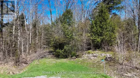 1160 Balmer Road North Kawartha ON K0L 1A0