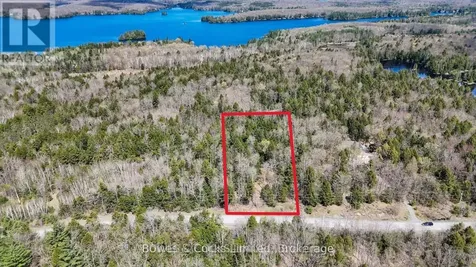 1160 Balmer Road North Kawartha ON K0L 1A0