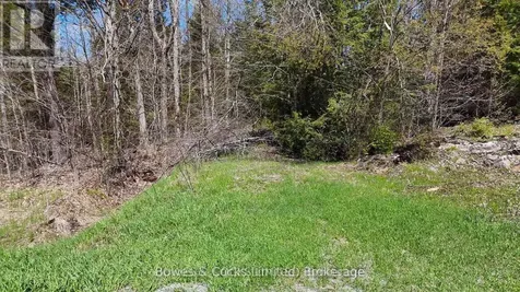 1160 Balmer Road North Kawartha ON K0L 1A0
