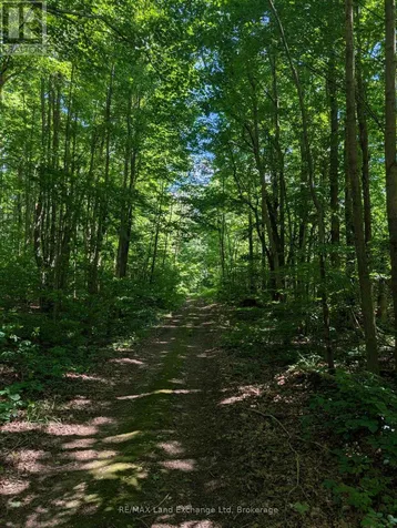 35 Sideroad 10a South Bruce ON N0G 2S0
