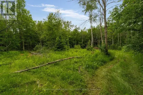 3664 Hogback Road Clearview ON L0M 1N0