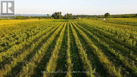357065 The Blue Mountains Meaford Townline Road Blue Mountains ON N0H 2P0