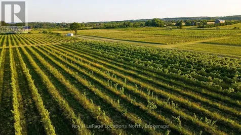 357065 The Blue Mountains Meaford Townline Road Blue Mountains ON N0H 2P0