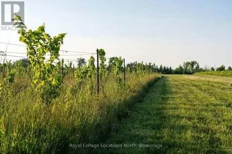 357065 The Blue Mountains Meaford Townline Road Blue Mountains ON N0H 2P0