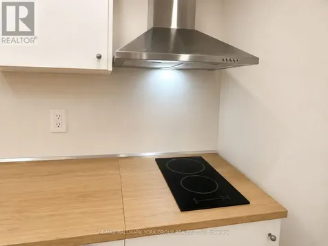 111 Worthington Avenue Richmond Hill (oak Ridges Lake Wilcox) ON L4E 3Z6