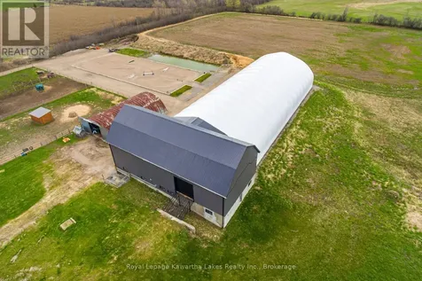 50 Farmview Road Kawartha Lakes (emily) ON K0L 2W0