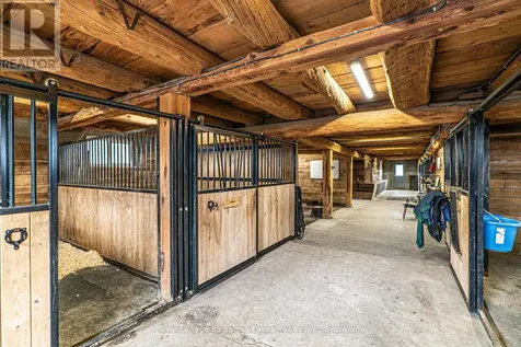 50 Farmview Road Kawartha Lakes (emily) ON K0L 2W0