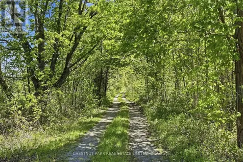 4176 County Road 8 Prince Edward County (north Marysburg Ward) ON K0K 2T0