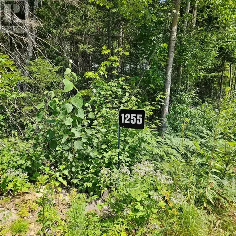 1255 Snake Creek Road Mattawan ON P0H 1V0