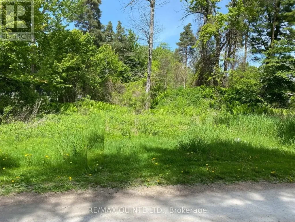 149 Evergreen Lane Brighton ON K0K 1H0