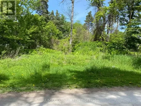 149 Evergreen Lane Brighton ON K0K 1H0