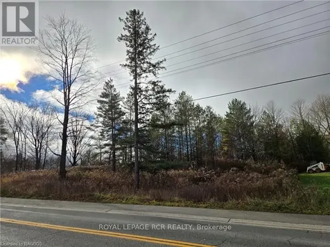 Lt 8 Ws Highway 6 Chatsworth ON N0H 2V0