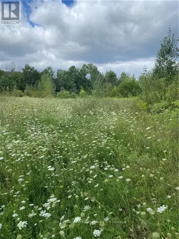 00 Jean Avenue Laurentian Valley ON K8A 5H9