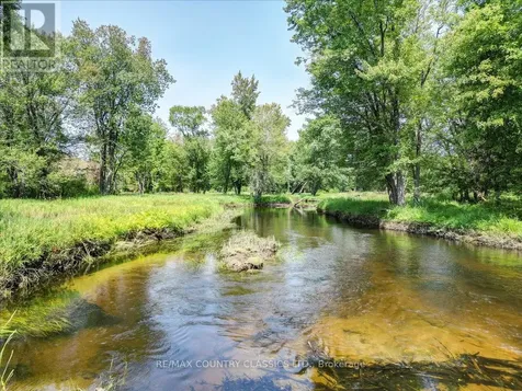 0 North Rusaw Road North Kawartha ON K0L 1A0