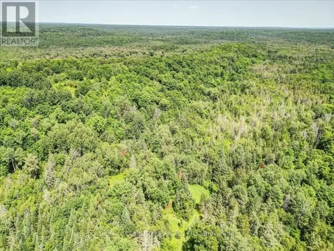0 North Rusaw Road North Kawartha ON K0L 1A0