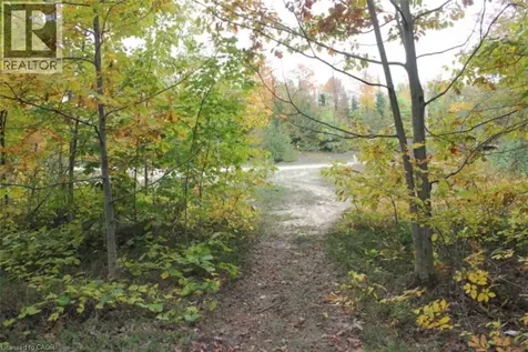 19 Spry Lake Road Oliphant ON N0H 2T0