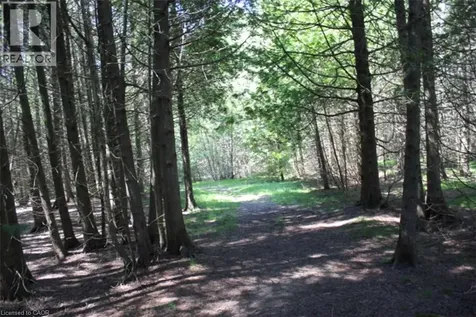19 Spry Lake Road Oliphant ON N0H 2T0