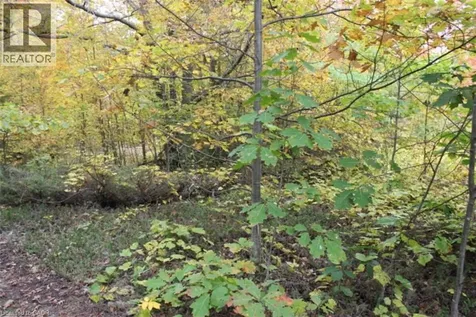 19 Spry Lake Road Oliphant ON N0H 2T0