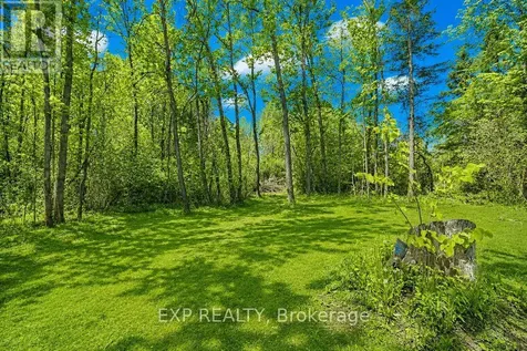 384 Carnegie Beach Road Scugog ON L9L 1B6