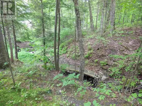 1943 V Line Road St. Joseph Island ON P0R 1J0